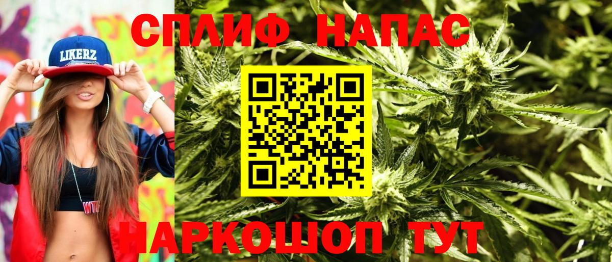 Конопля гибрид Новотроицк